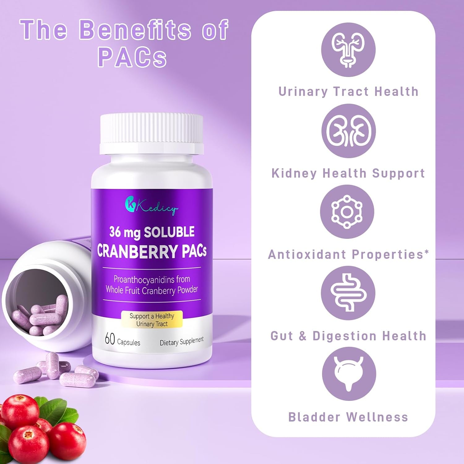 Cranberry Pills for Women with 36 Mg Soluble Pacs, Sourced from New England Whole Fruit Cranberries Powder, Cranberry Pills for UTI Defense & Urinary Tract Health, 60 Caps