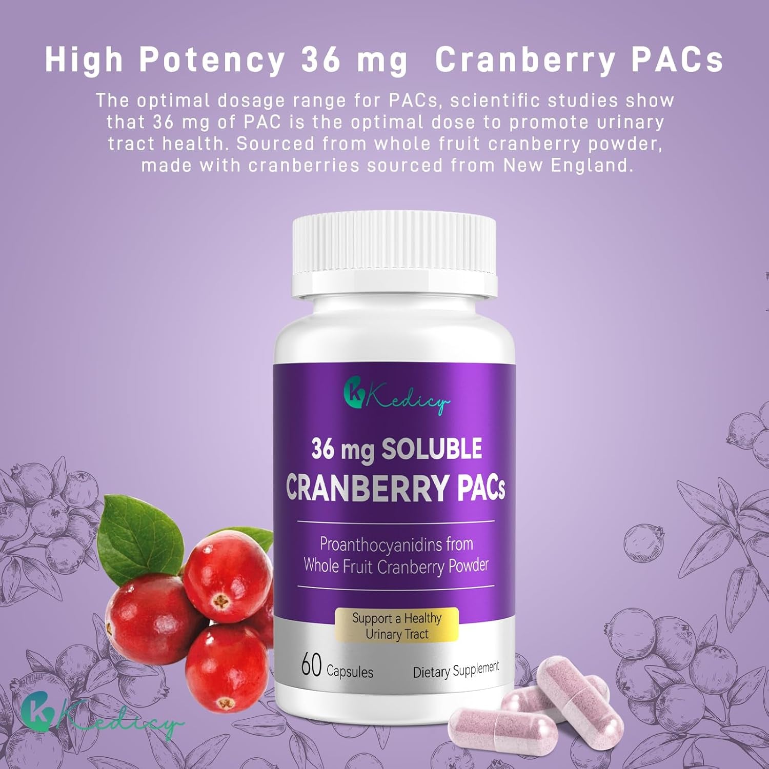 Cranberry Pills for Women with 36 Mg Soluble Pacs, Sourced from New England Whole Fruit Cranberries Powder, Cranberry Pills for UTI Defense & Urinary Tract Health, 60 Caps