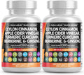 Ceylon Cinnamon Capsules + Berberine Turmeric Apple Cider Vinegar Ginseng Bitter Melon Gymnema Milk Thistle Fenugreek Supplement (60 Count (Pack of 2))
